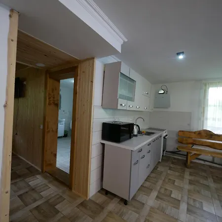 Karpatske-dzerelo *